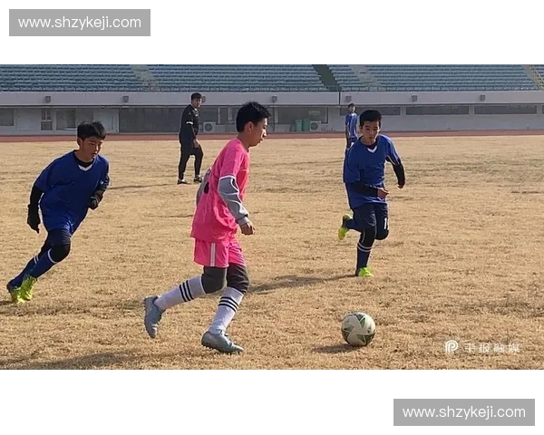 围绕平顶山足球联赛打造城市全民体育高质量发展崭新篇章宏图蓝景
